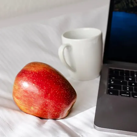 Diana Westend فرانكفورت