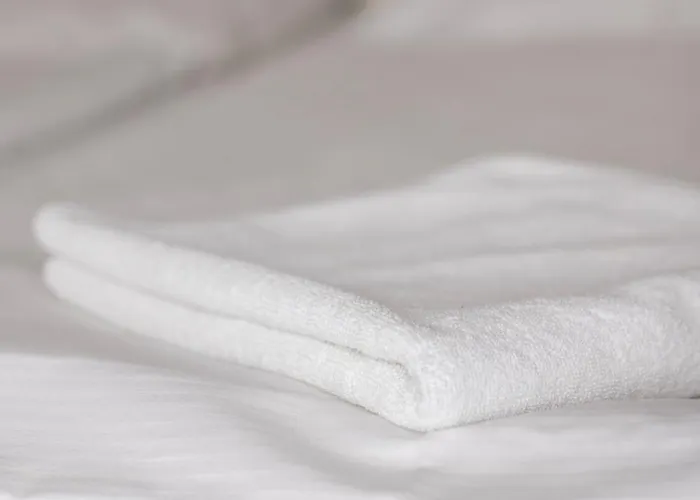 Diana Westend Hotel Frankfurt nad Mohanem